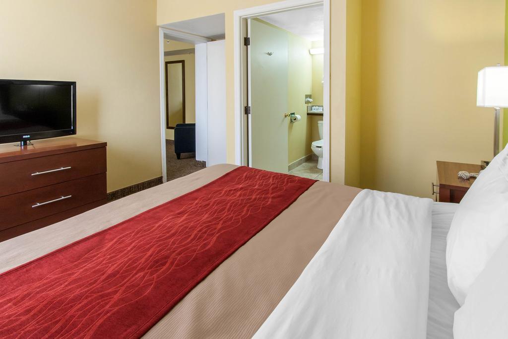 Comfort Inn St Petersburg North Sankt Petersburg Exterior foto